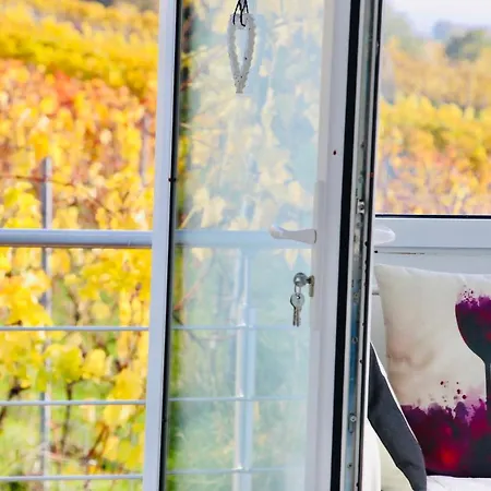 Janea Big Blue House Reichsfeld