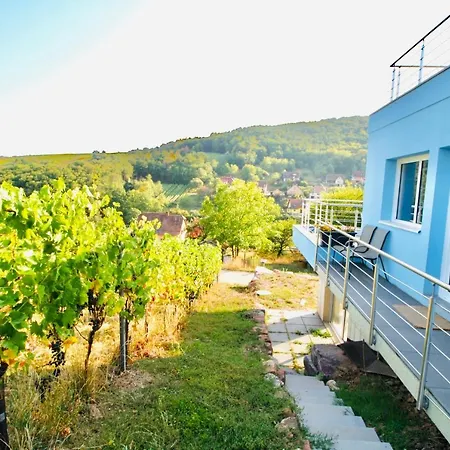 Appartement Janea Big Blue House Reichsfeld