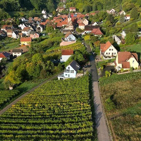 Appartement Janea Big Blue House