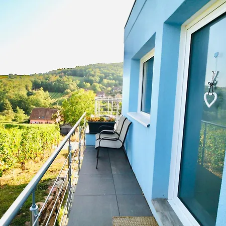 Janea Big Blue House Apartment Reichsfeld