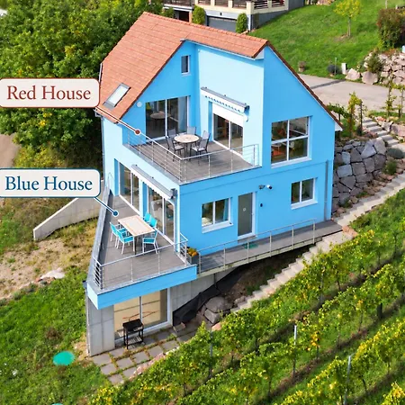 Janea Big Blue House Reichsfeld