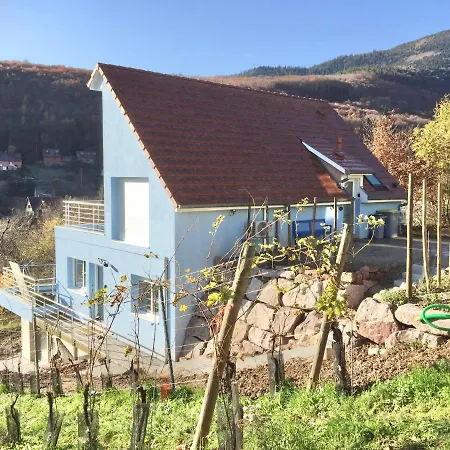 Janea Big Blue House Apartment Reichsfeld